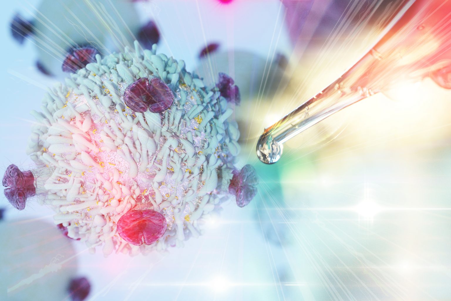 A New Lymphoid Technology That Accelerates Immune Reconstitution in Hematopoietic Stem Cell Transplantation