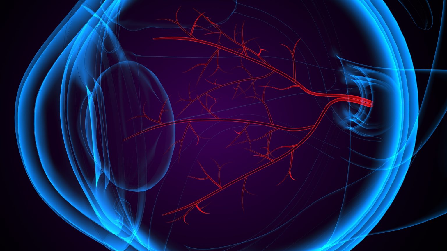 MeiraGTx and the Case for Regulated AAV Gene Therapy Medical illustration representing in-vivo gene therapy delivery and biological expression pathways.