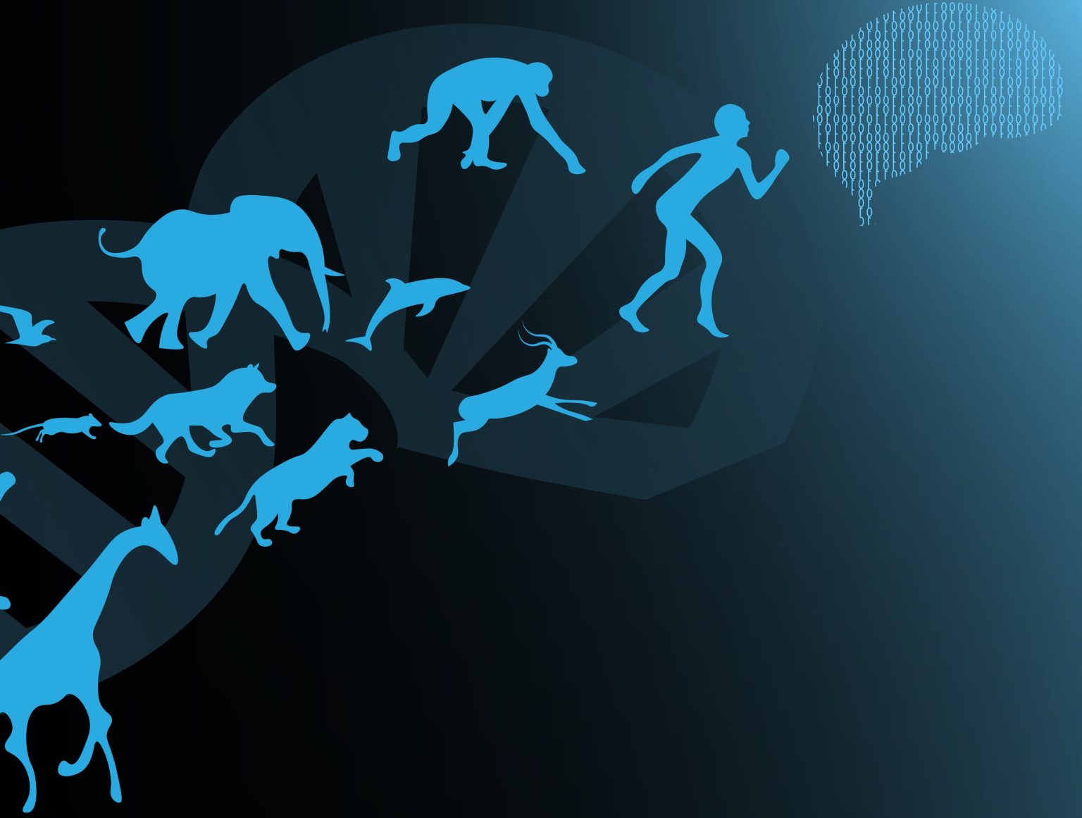 Animals and DNA strand illustration representing Fauna Bio's comparative genomics approach to drug discovery