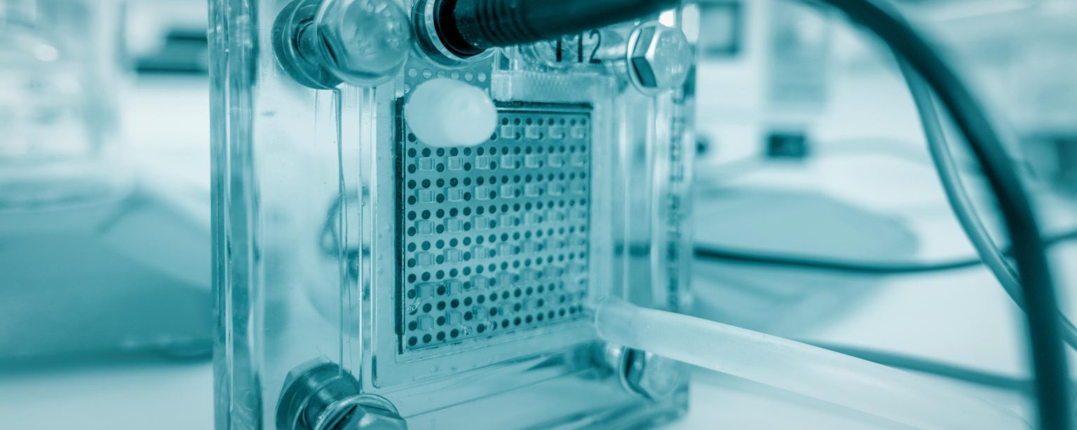 Microfluidic nanopore chip array with electrical connections, representing the single-molecule protein sequencing technology platform being developed by Primary Bioscience